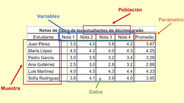 Conceptos básicos en estadística