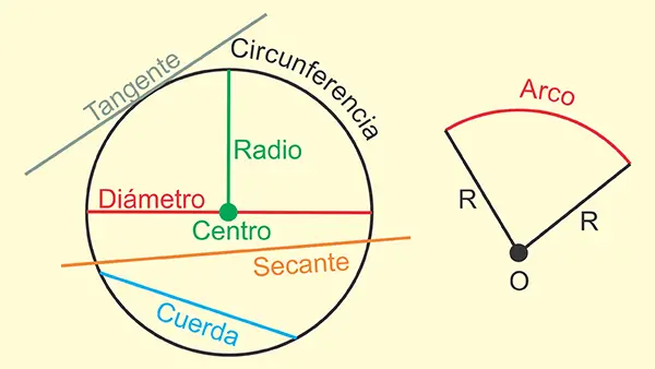 Elementos circunferencia y círculo