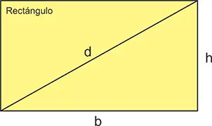 Rectángulo