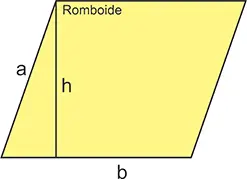 Romboide
